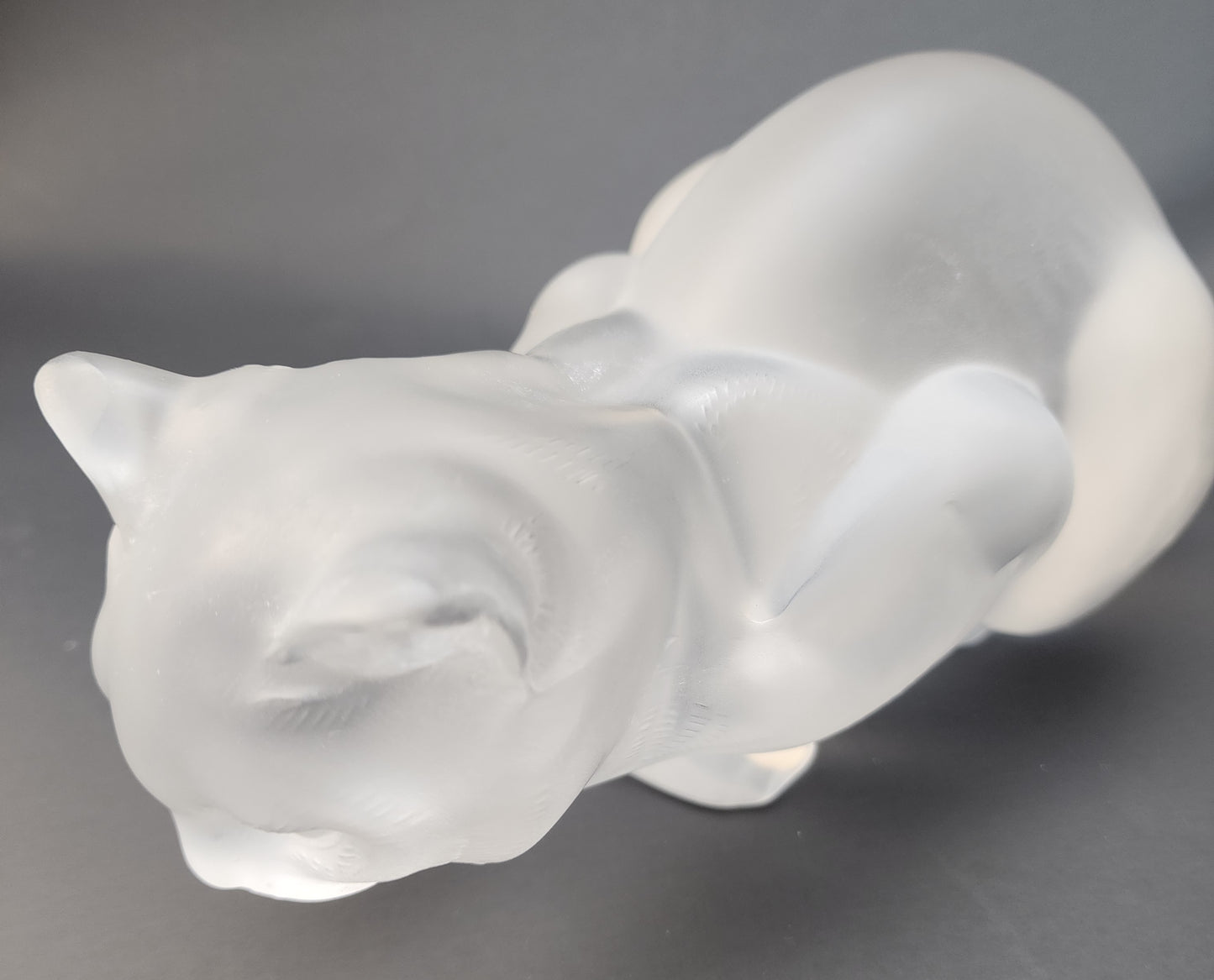 Lalique signed Frosted glass croughing cat figurine #11602