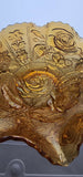 Carnival Glass scoloped edge bowl marigold roses