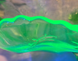 Fenton uranium glass 3 legged bowl glows