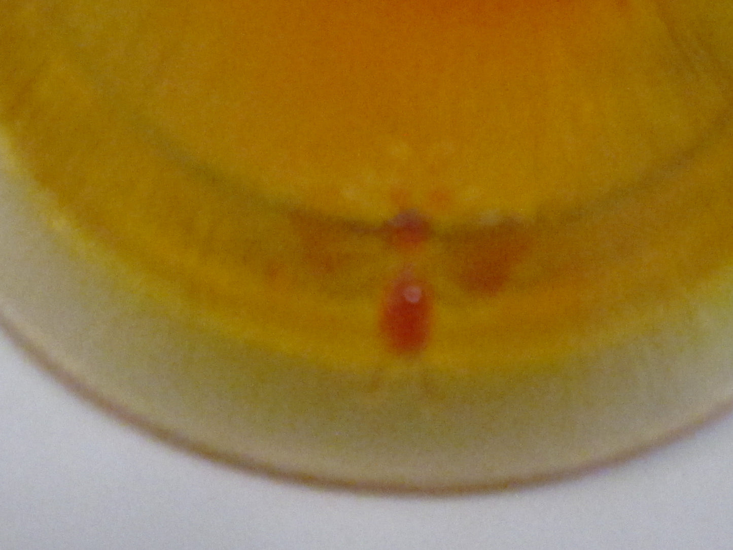 Glass lid Replacement bee orange amber honey
